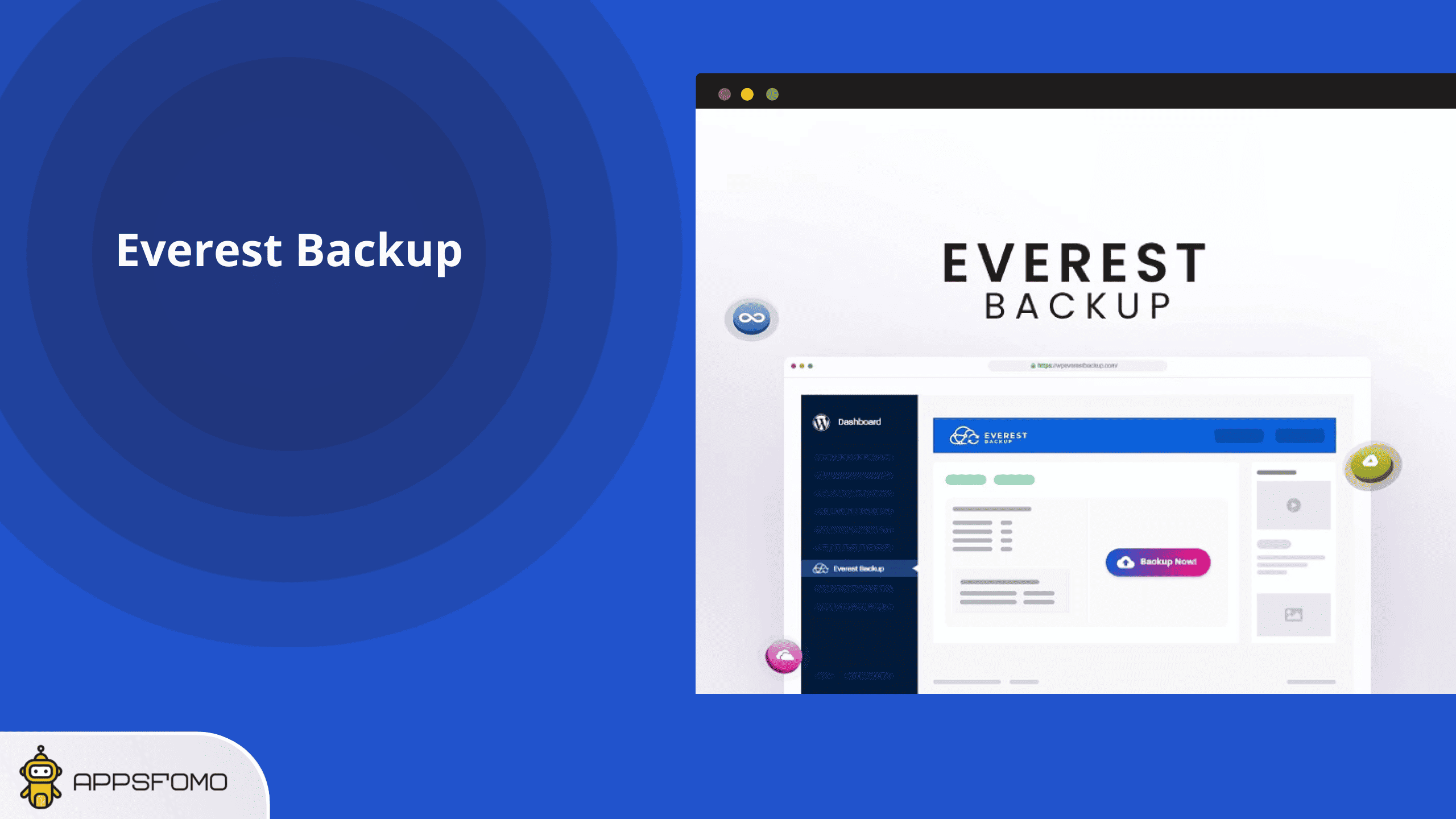 Everest Backup